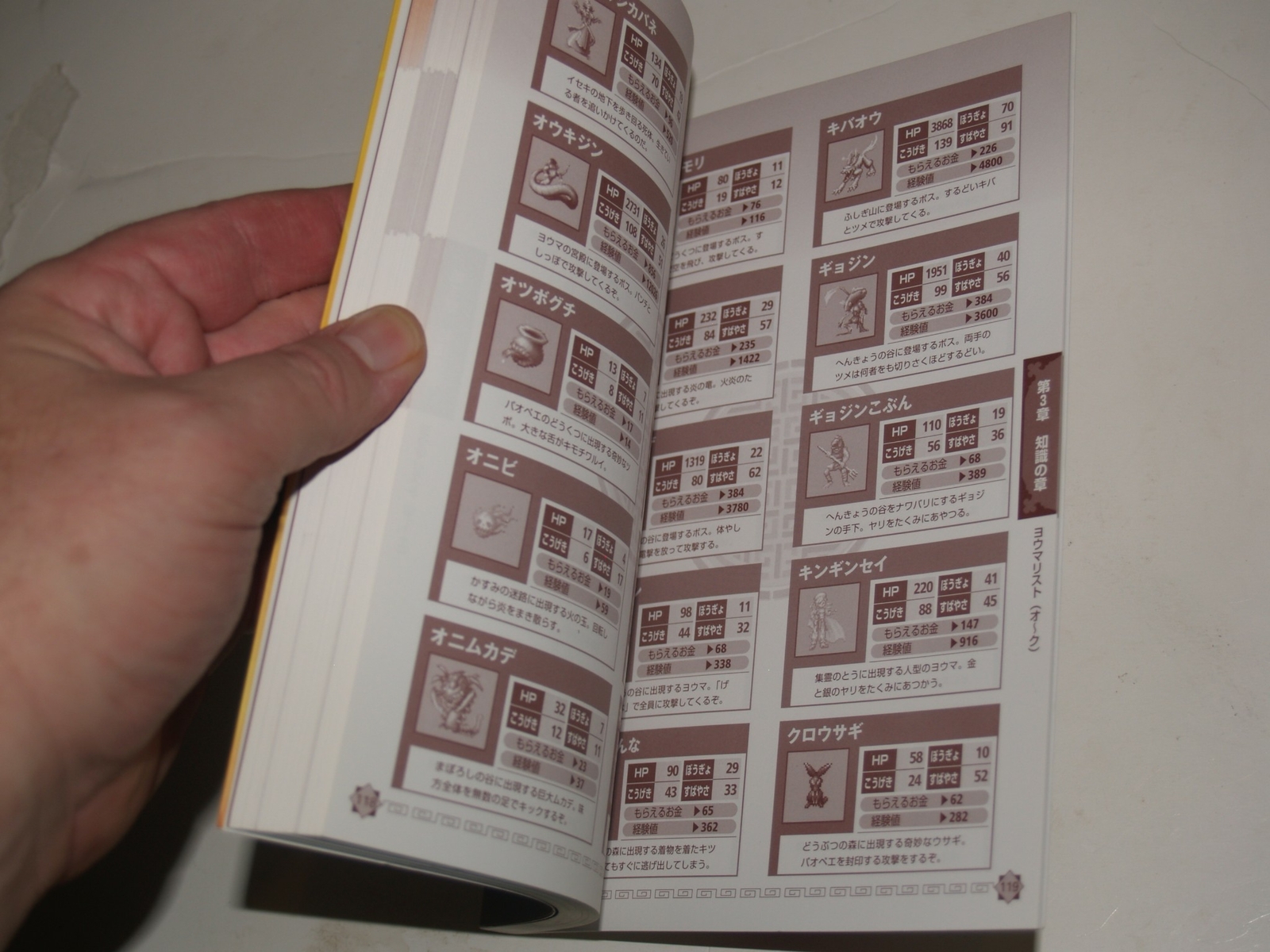 Magical Houshin Advanced Guide- in Japanese-9784877199708
