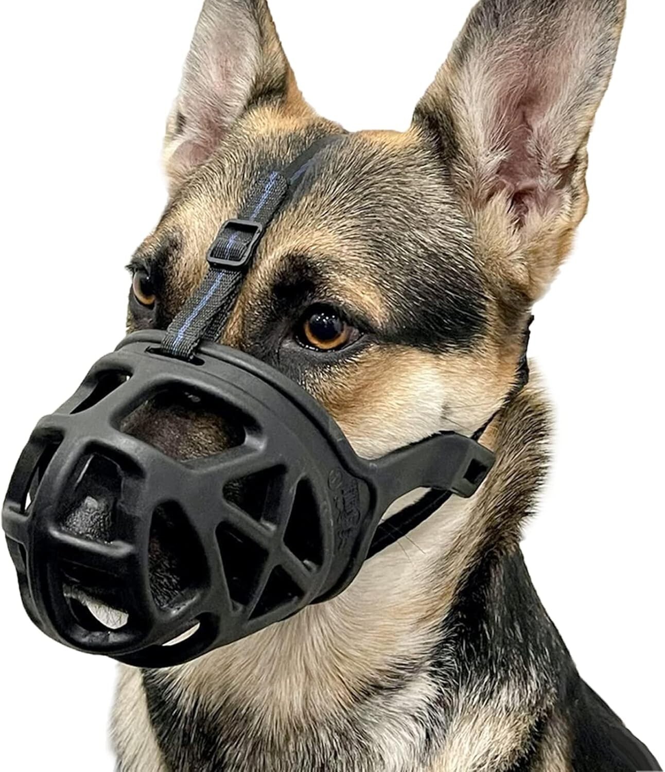 Large Basket Muzzle for Dogs - Safe, Adjustable, Ideal for Grooming & Training