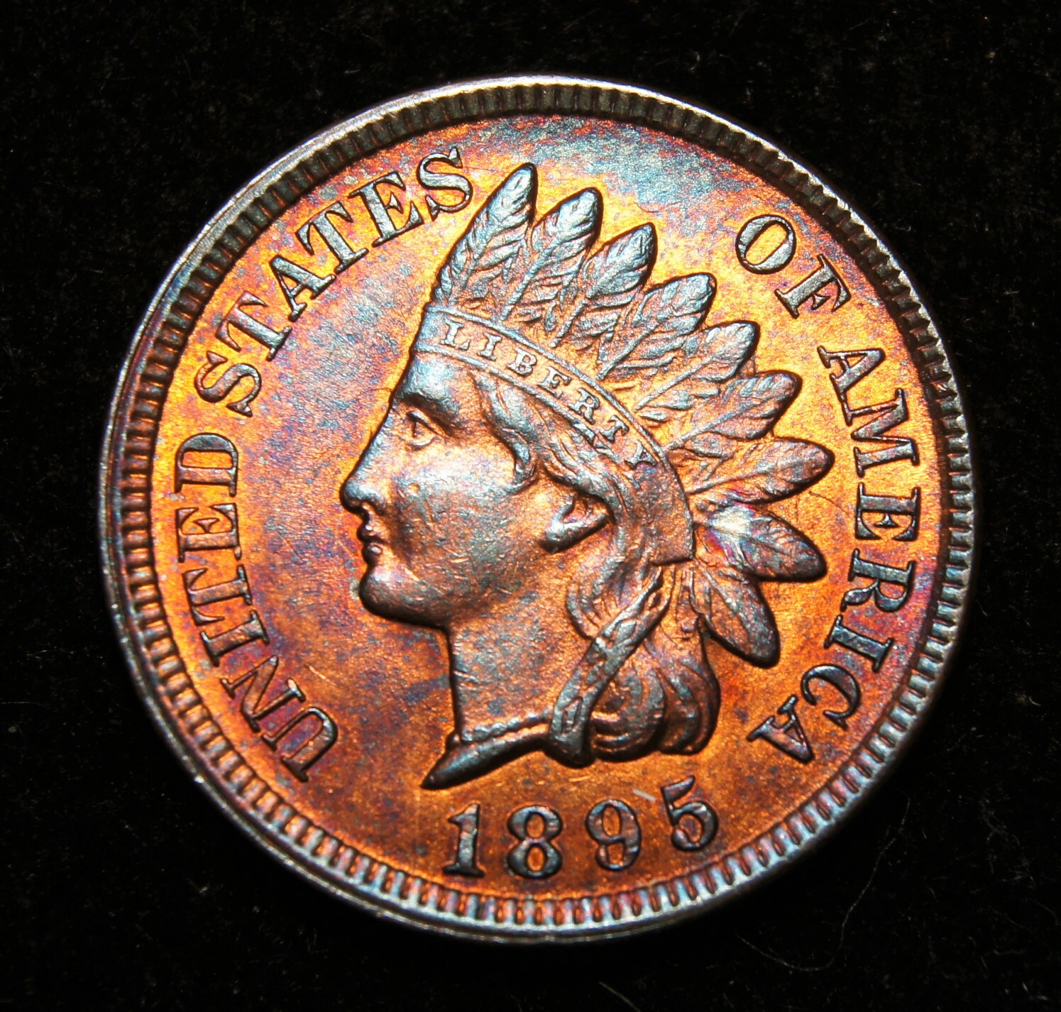 1895 Indian Head Cent, MS++++R/B