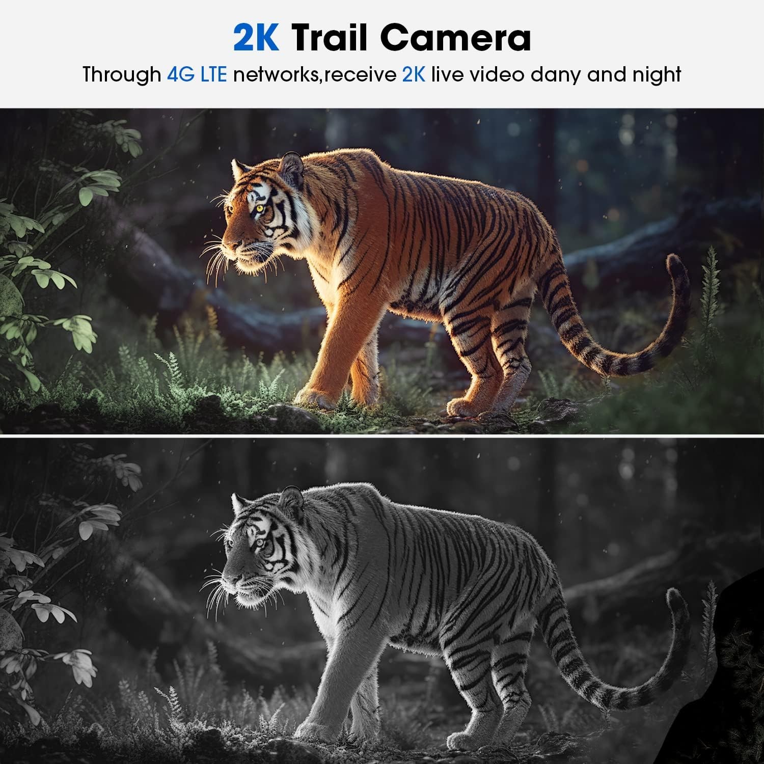 2* Campark 2K 4G LTE Cellular Solar PTZ Trail Camera Security Camera + SIM Card