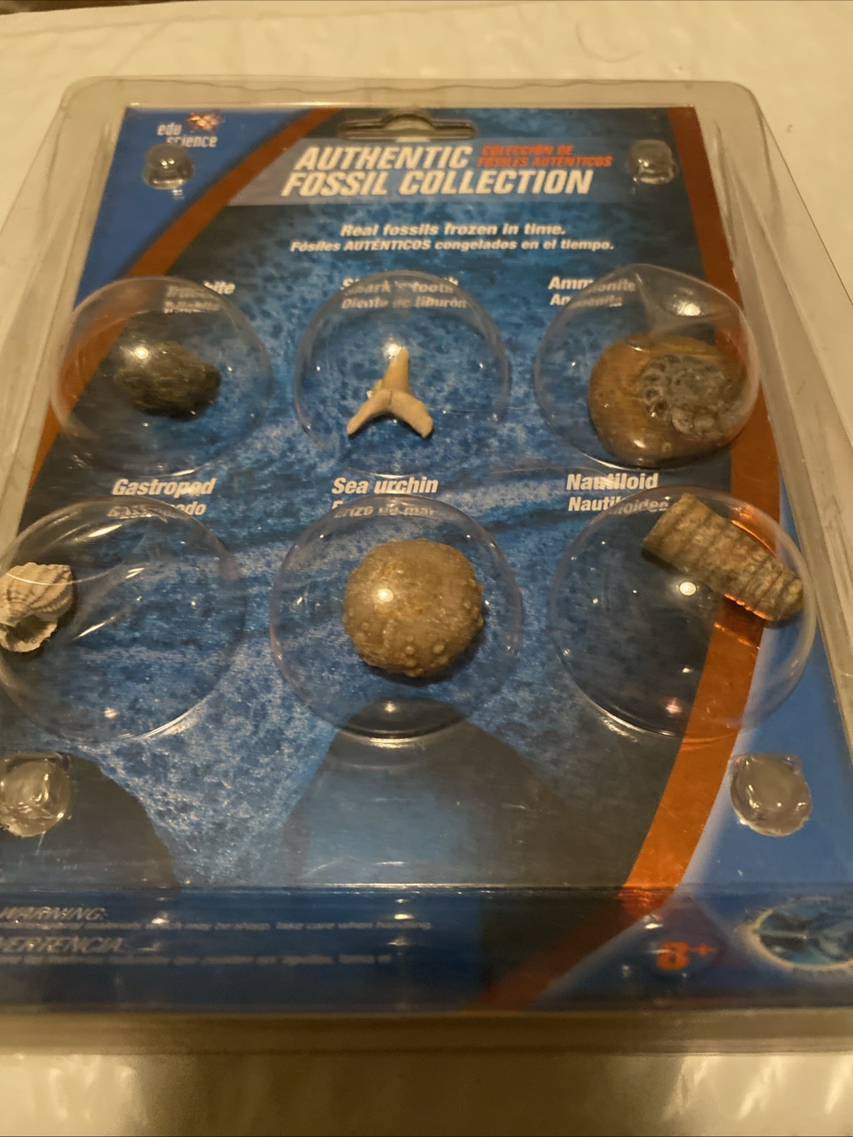 Edu Science Authentic Fossil Collection Set Of 6 New In Box