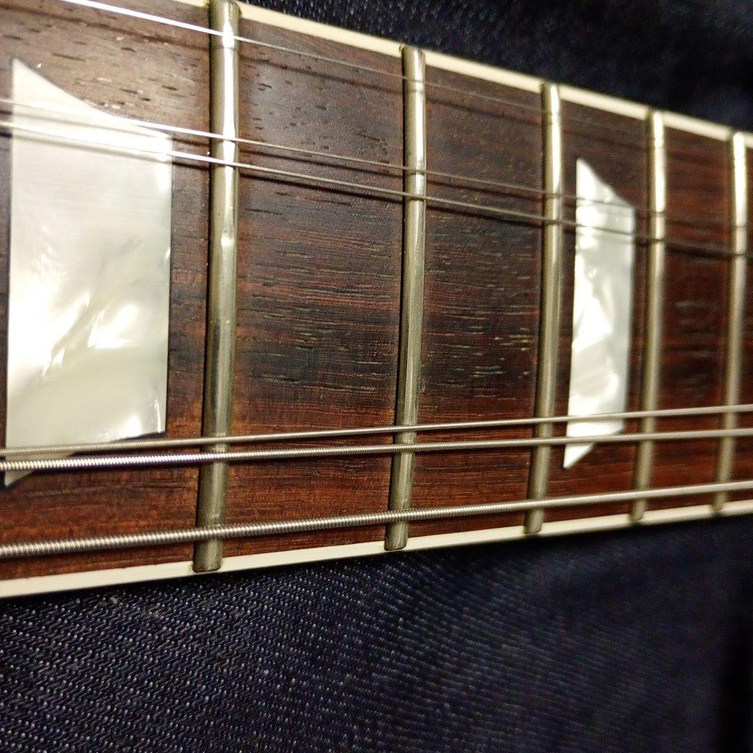 Coolz ZSG-1 Fujigen Made 2013 Model