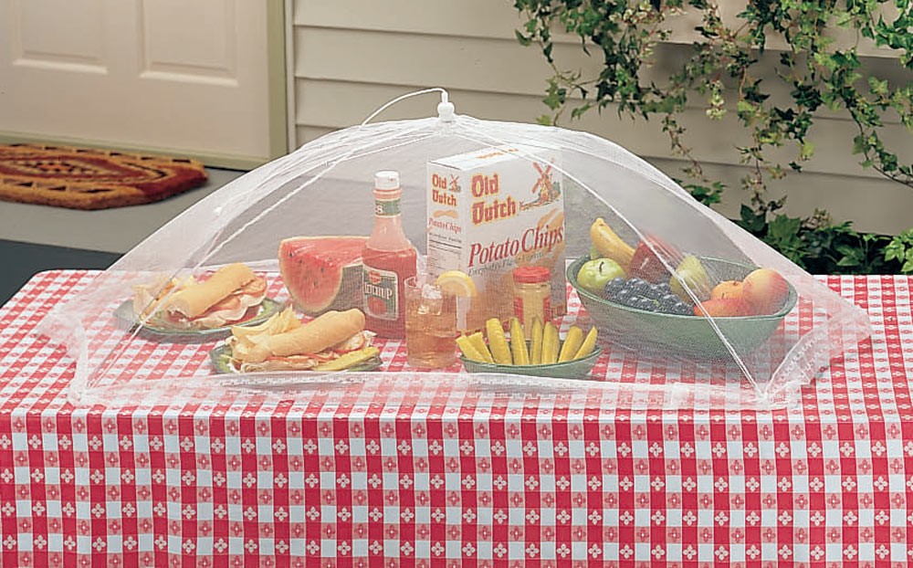 Picnic Size Food Umbrella