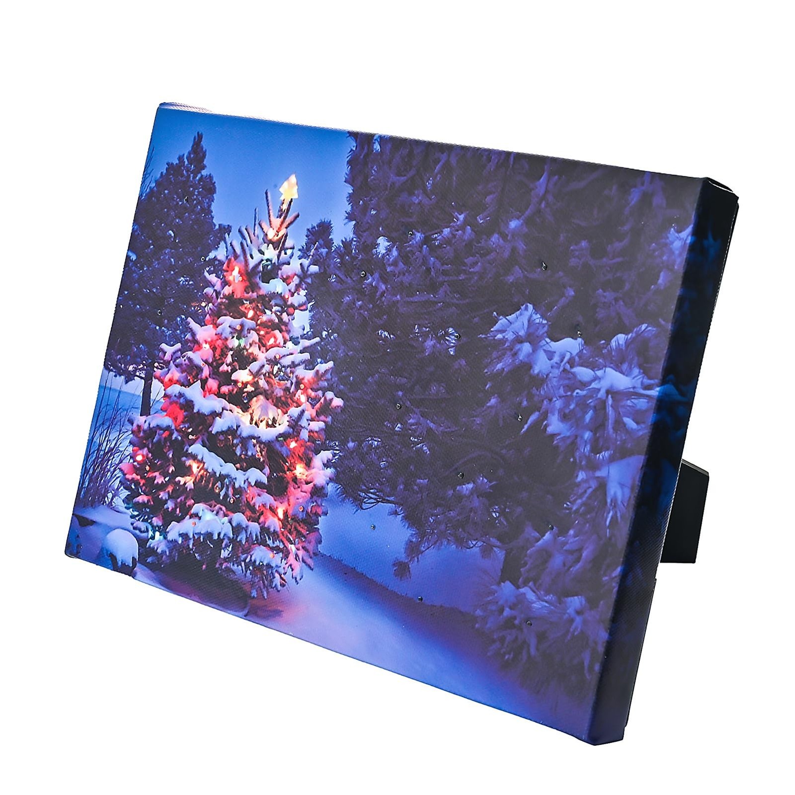 Small LED Light Up Pictures 8x6in w/Timer, Standing Framed Lighted Canvas Chr...