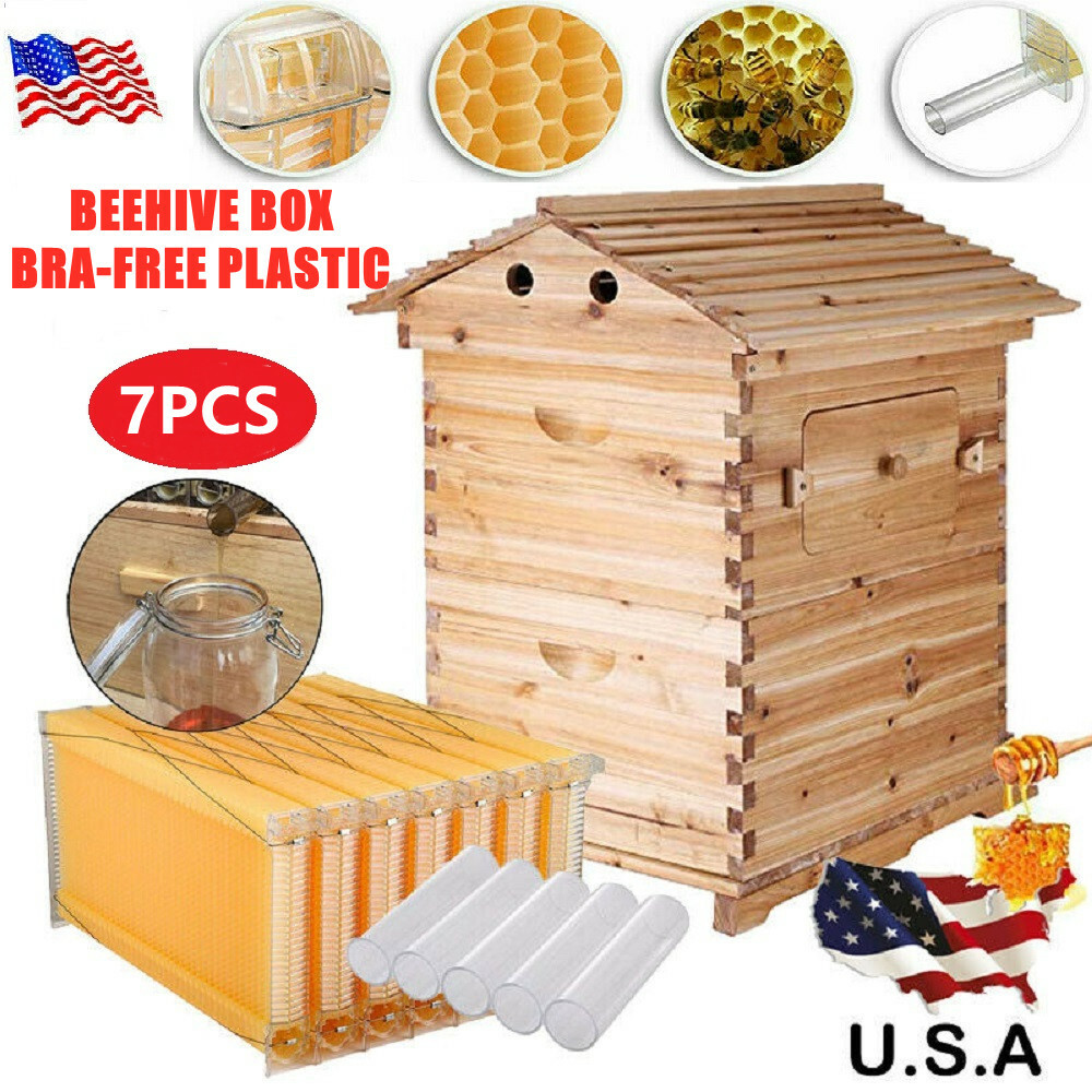 7x Auto Shed Honey Bee Hive Beehive Frames Beekeeping Brood Cedarwood Box Set