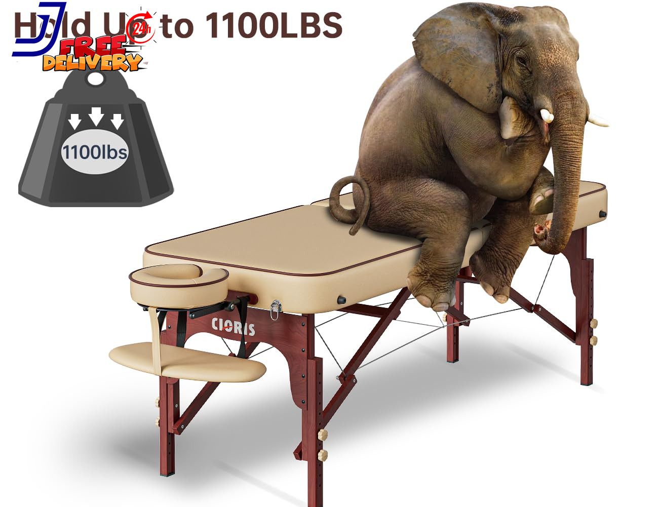 Portable 84" Massage Table Heavy Duty Adjustable Lightweight with Carry Bag