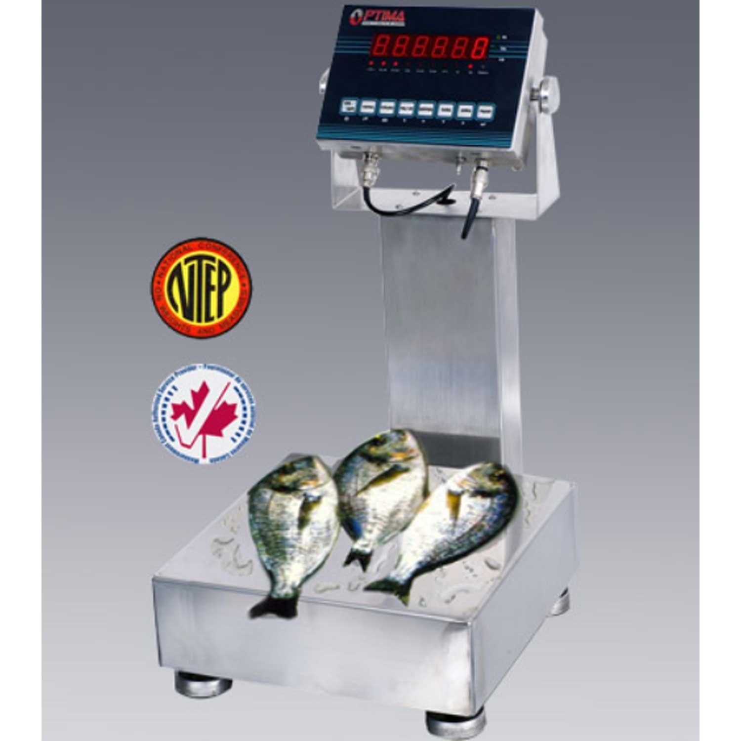 Optima NTEP Bench Digital Scale With LCD Display 100lb x 0.02lb 14" x 12"