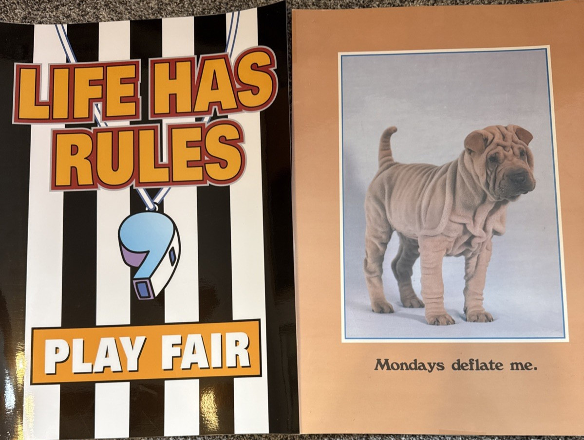 Classroom Poster Set 11 posters (2 sizes) laminated  Argus brand (1 is not)