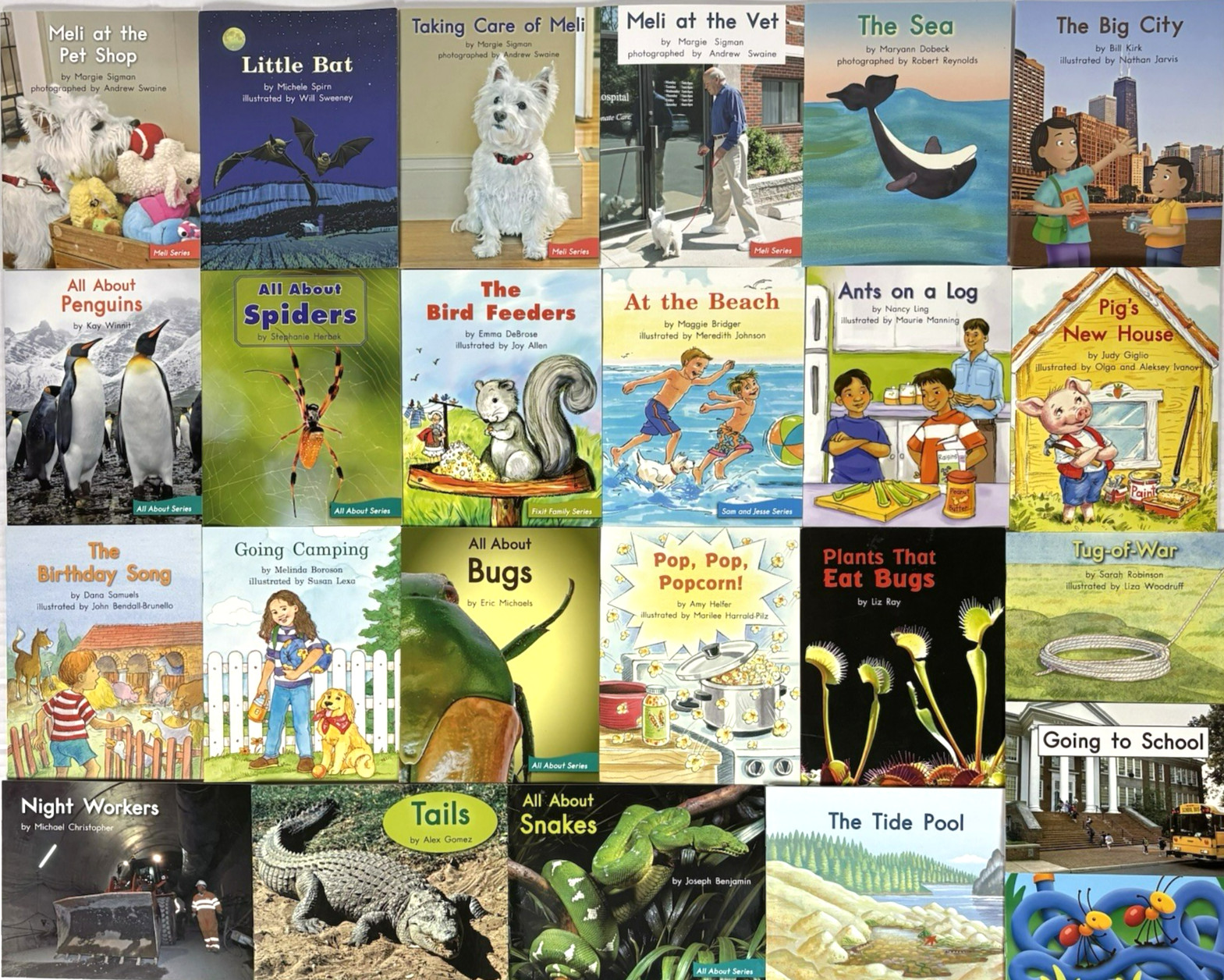 FOUNTAS & PINNELL LLI BLUE System Complete Set 120 Readers - 2nd Grade Level B-N