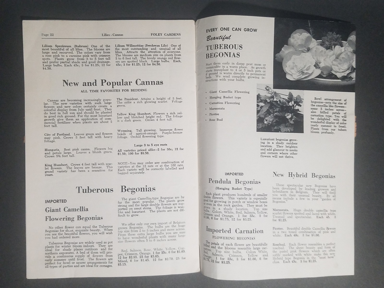 1957 Foley Gardens Catalog