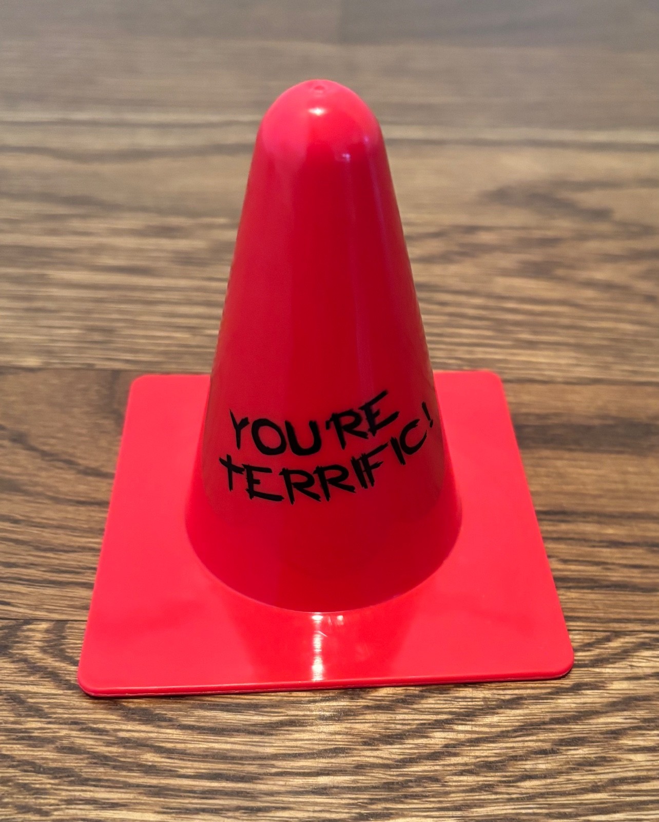 Set of 7 Cones-Teaching Tree Motivational Reward Cones "You're Terrific"-Red