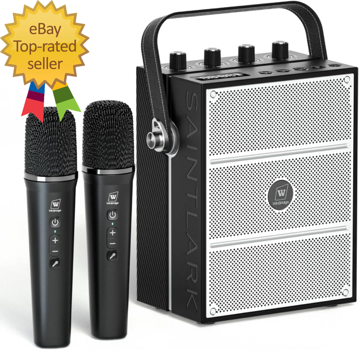 100W Powerful Voice Amplifier with 2 Wireless Microphones Big Pro Sound Portable