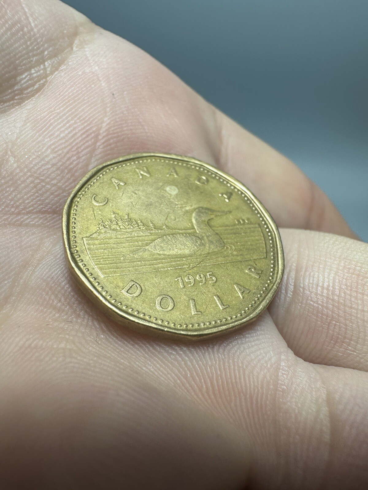 CANADA 1995 1 DOLLAR, LOON LOONIE, UNC Elizabeth ||