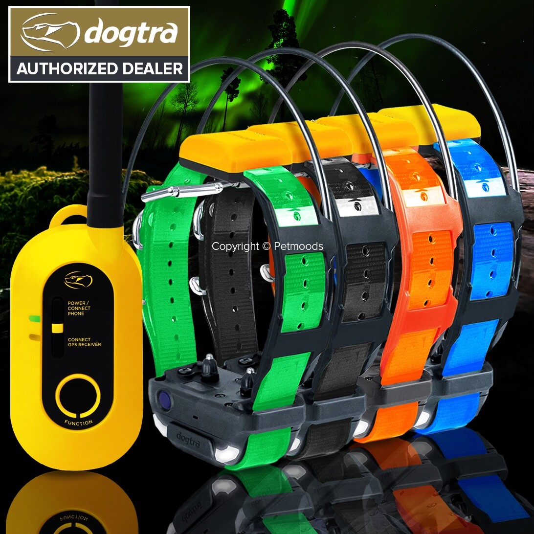 Dogtra Pathfinder2 GPS Tracking & Training Collars & E-Fence Geo-Fence - 4 Dogs