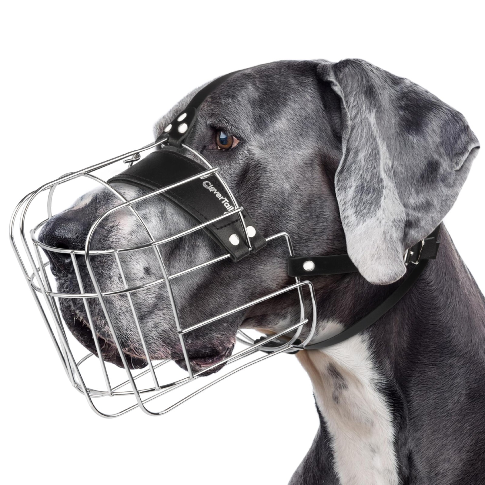 CleverTail Extra Large Dog Muzzle for Large, Silver & Black Straps
