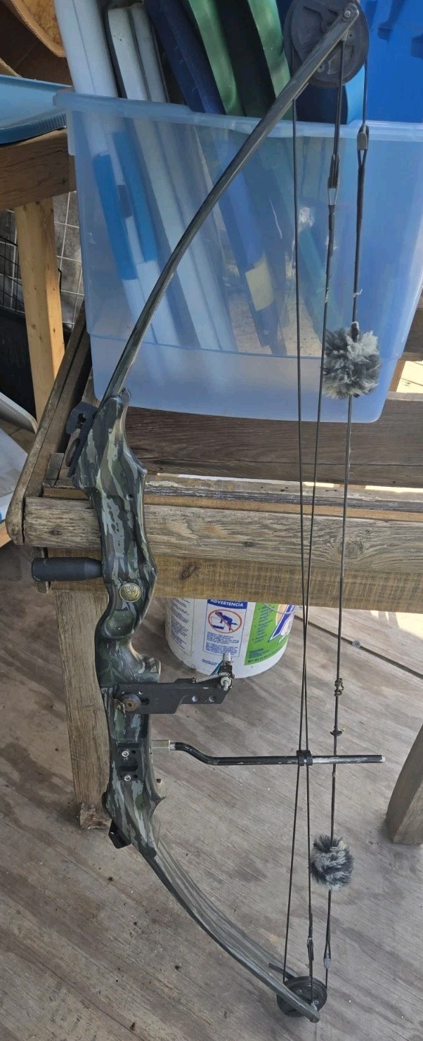 Vintage Bear Whitetail II Compound Bow