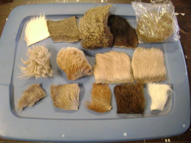 LOT OF FLY TYING FUR, ELK, BEAVER, DEER, GOAT, BIGHORN, MOOSE, RED STAG, AXIS L