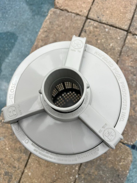 Hayward W560 Pool Inline Leaf Canister, OEM, New
