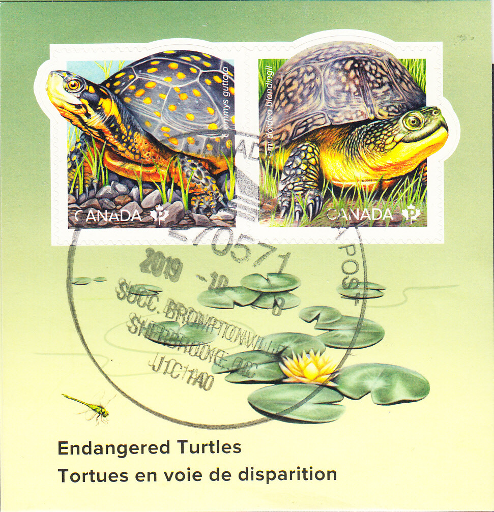 W CANADA 3179 U ENDANGERED TURTLES
