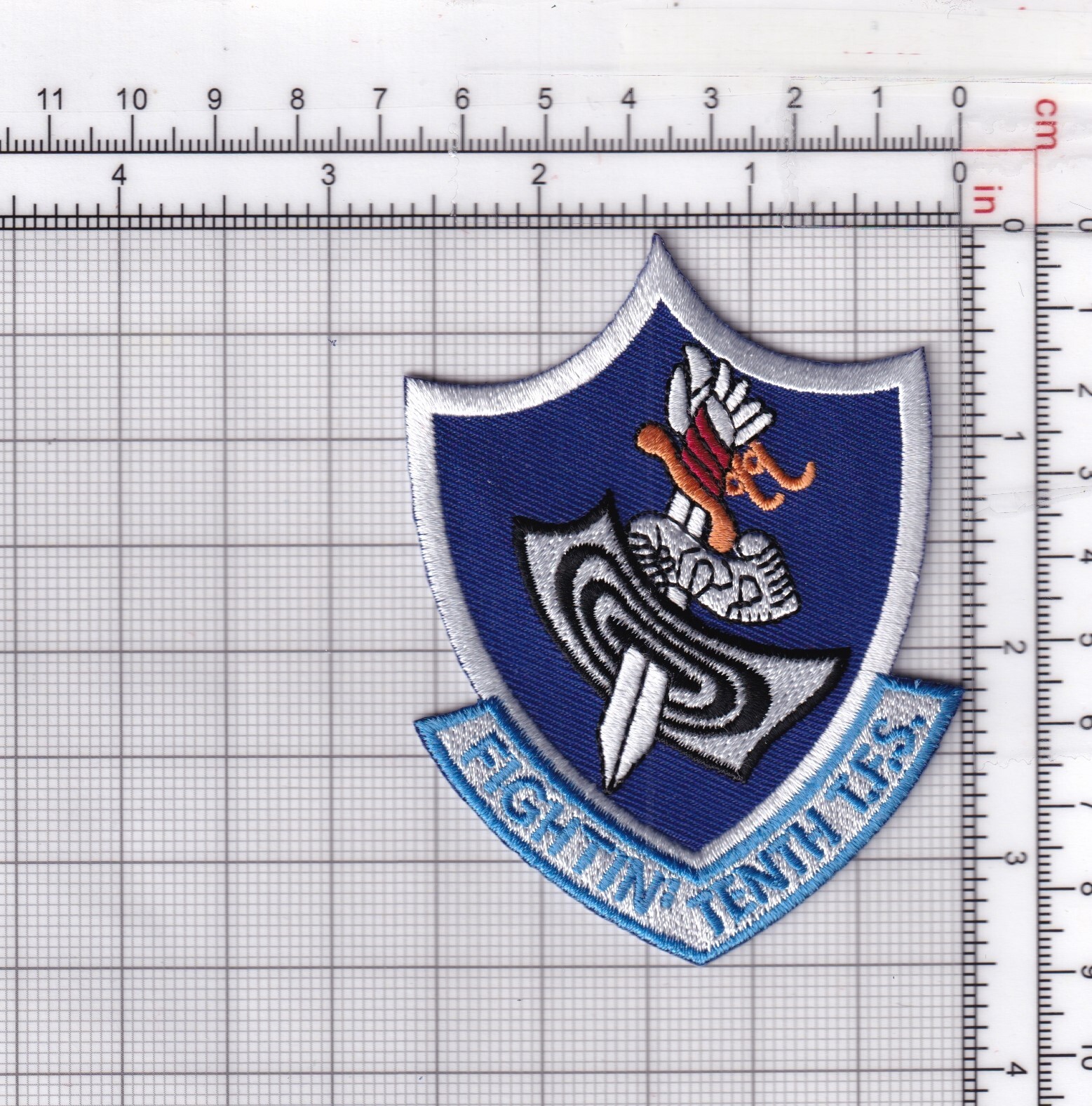 10th Tactical Fighter Squadron Patch – Hook and Loop, 3.5"