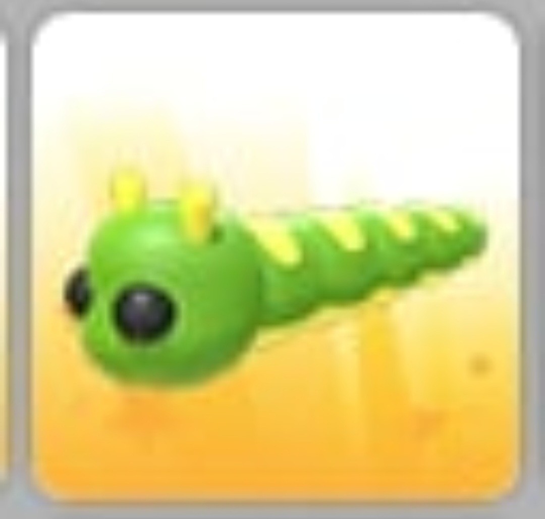 Caterpillar | Adopt Now