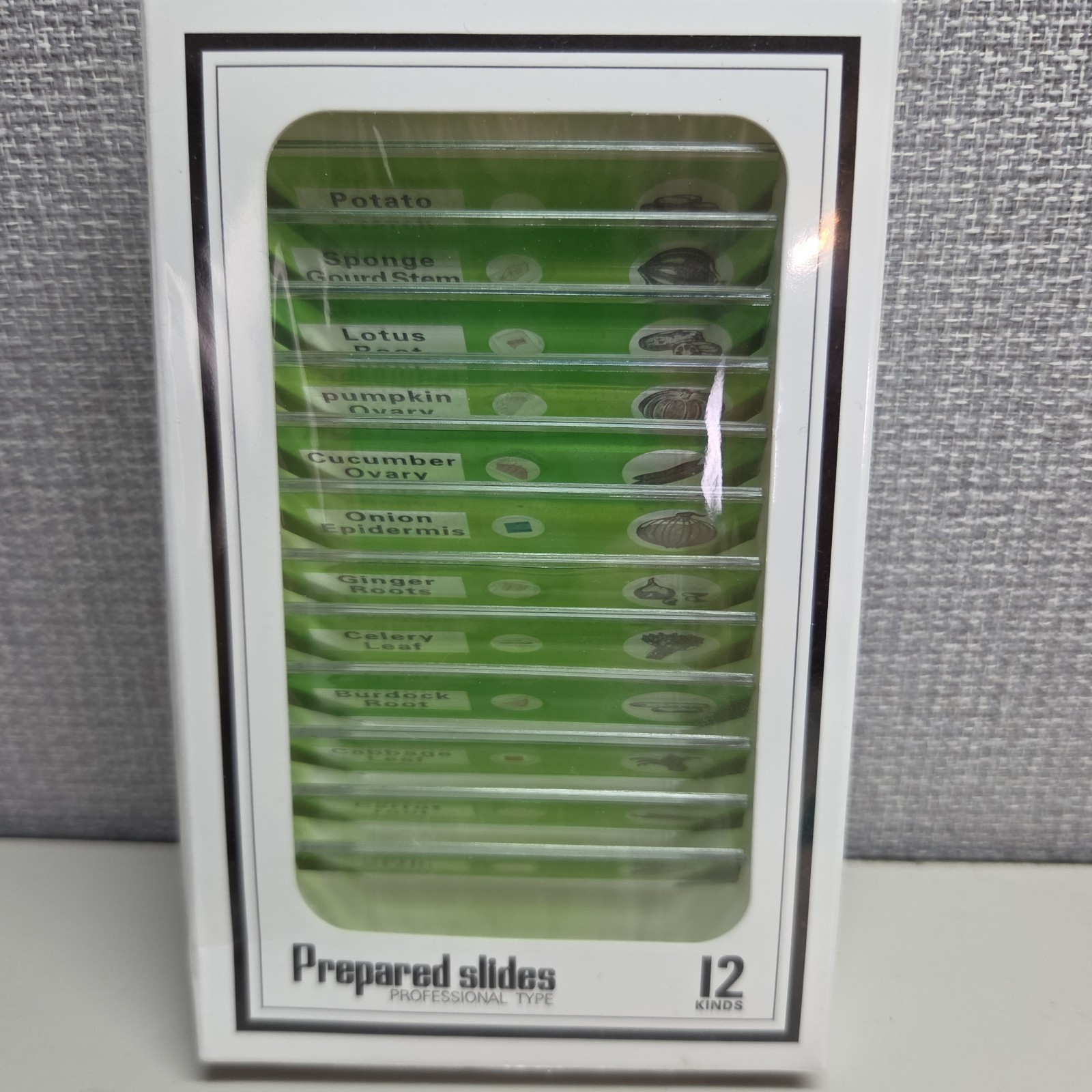 12 Prepared Microscope Slides Plant Cellular Structures