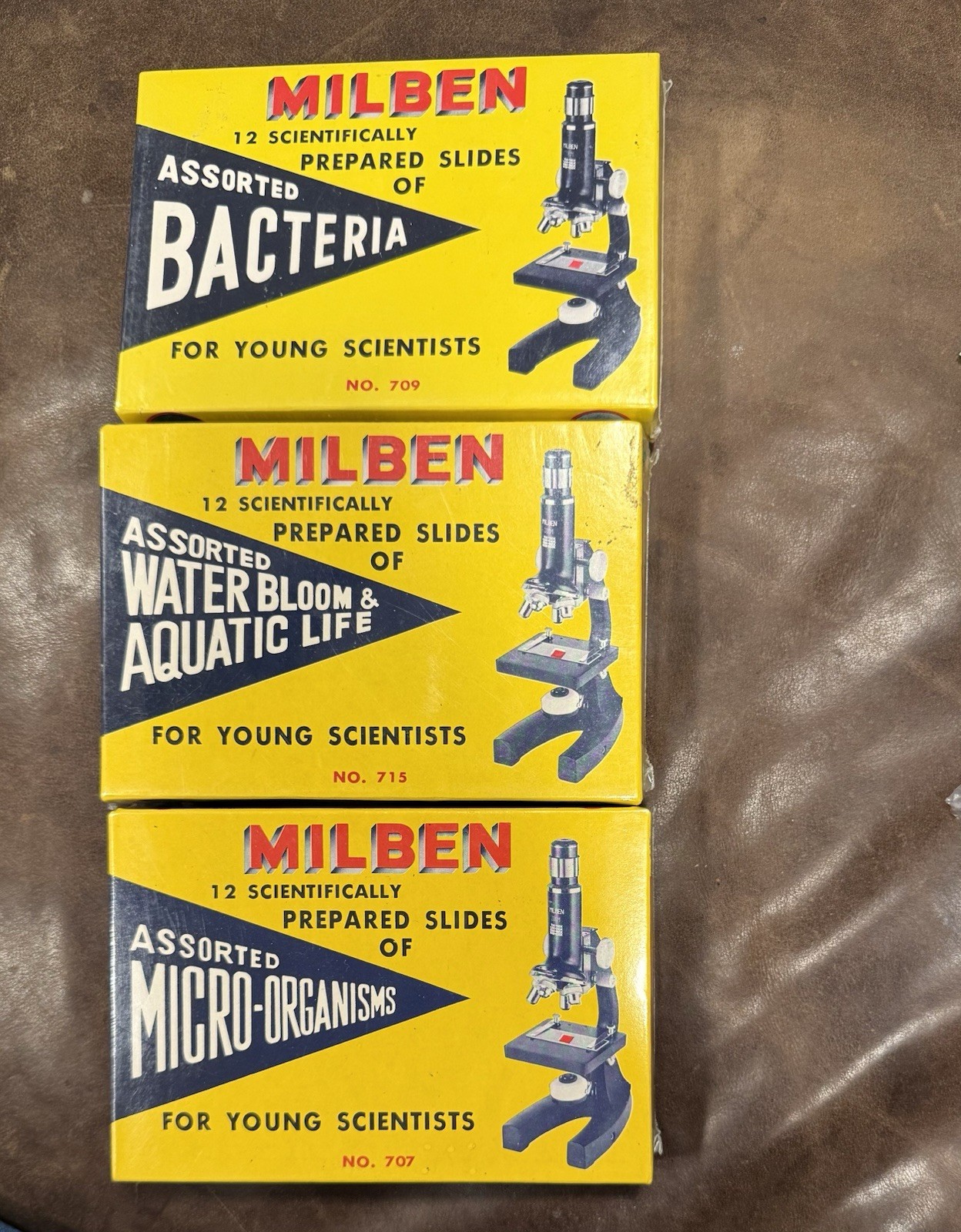 Vtg Milben Prepared Slides  Microscope Aquatic Life Micro-Organisms Bacteria NEW