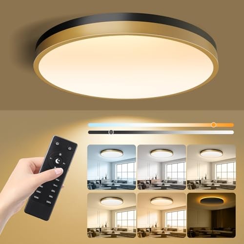 Flush Mount Ceiling Light with Remote Control & Night Light, 13 Inch Black Gold