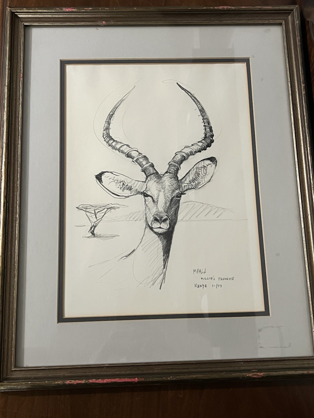 1973 Charcoal Drawing Impala VTG Framed 19.5”x16 Game Wall Art Herd Animal