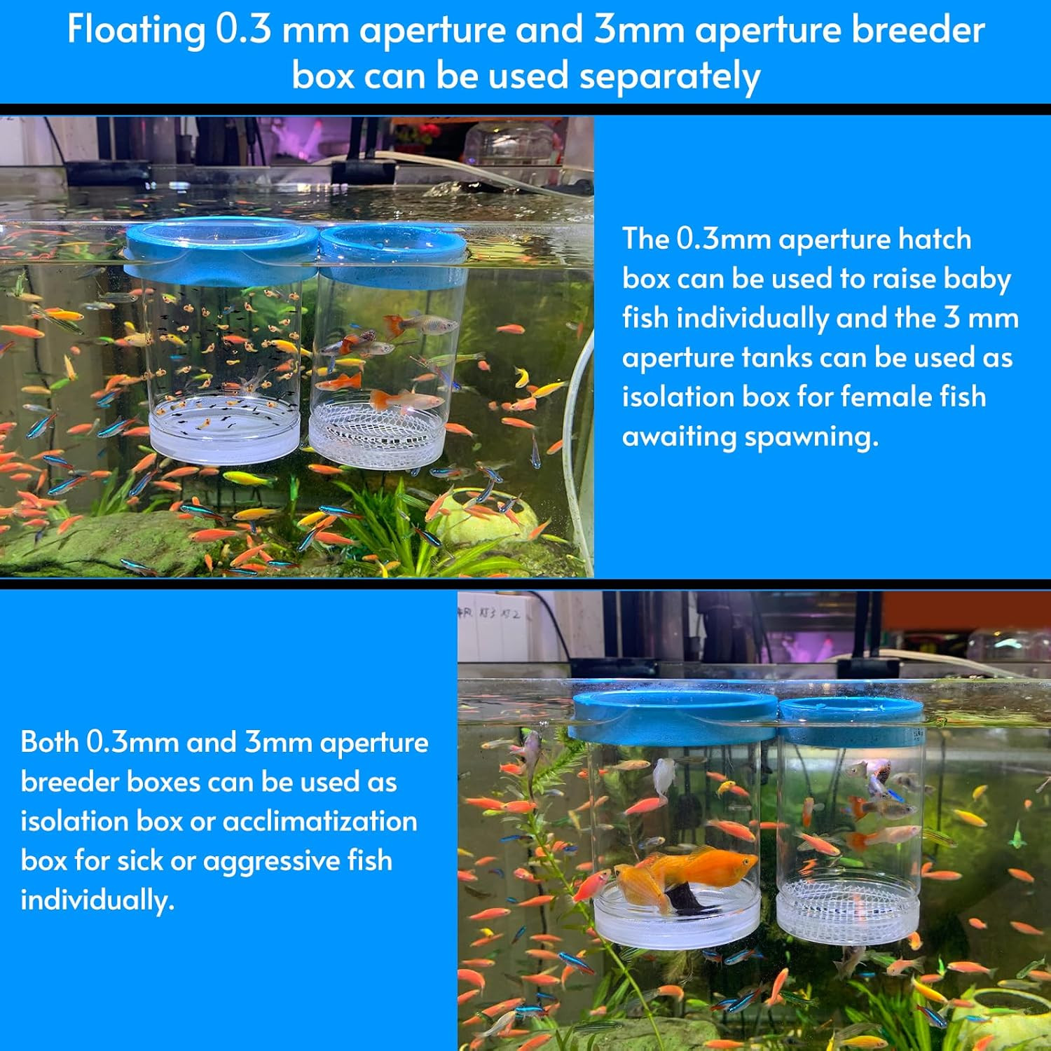 middlefloatingbreederbox Breeder Box for Fish Tank Isolation Aquarium Separator