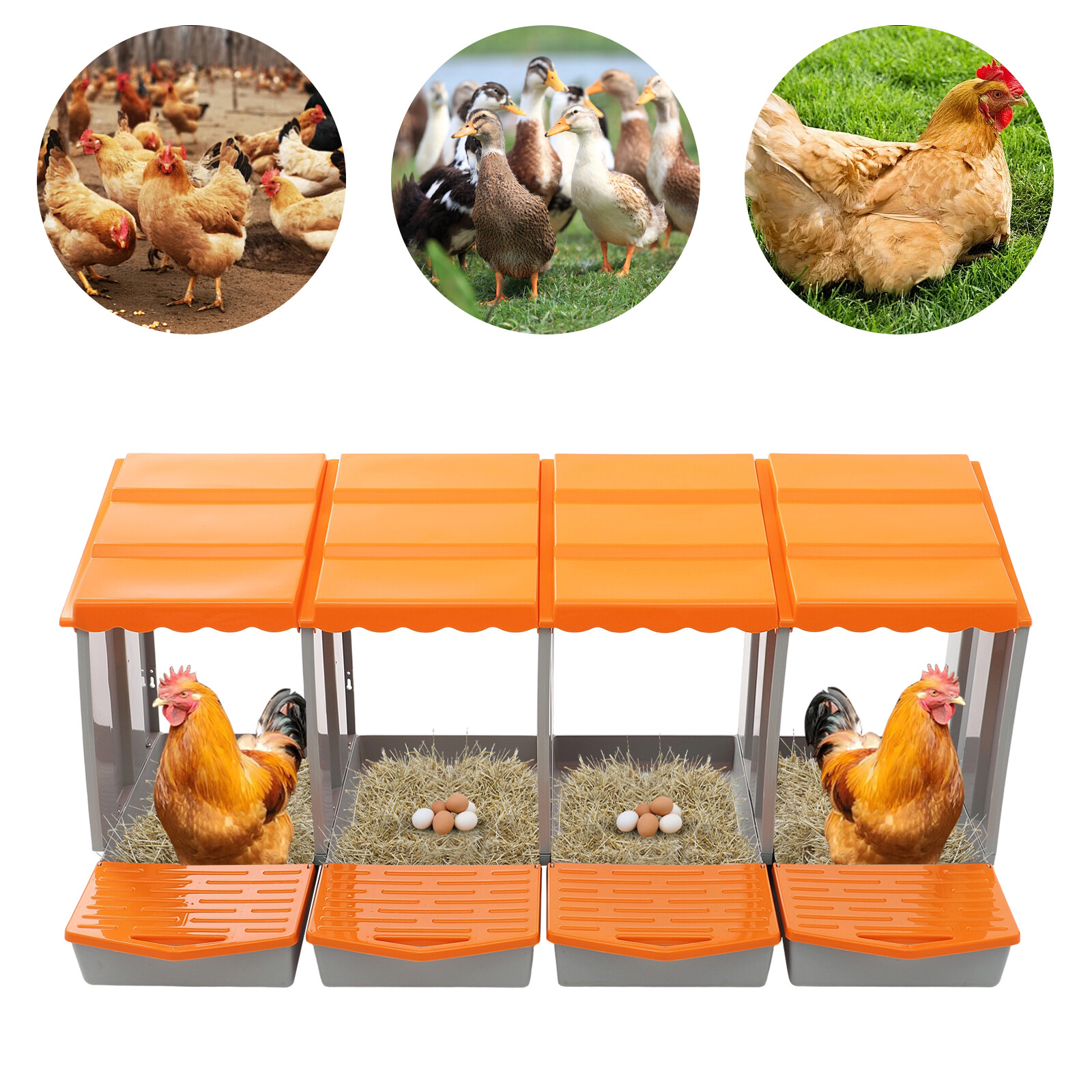 Orange Chicken Nesting Box Modern 4-Compartment Chicken Nesting Box PP NEW