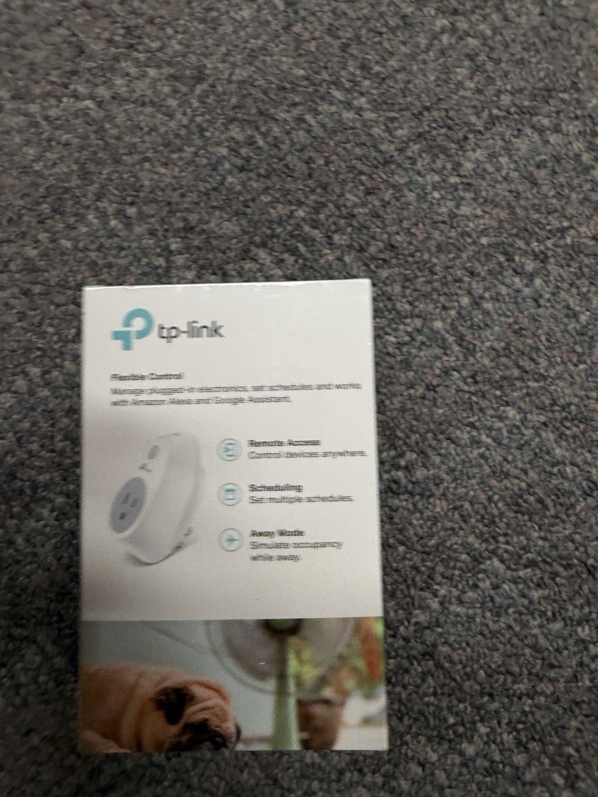 TP-Link Smart Plug, No Hub Required, Wi-Fi, Works with Alexa & Google Assistant