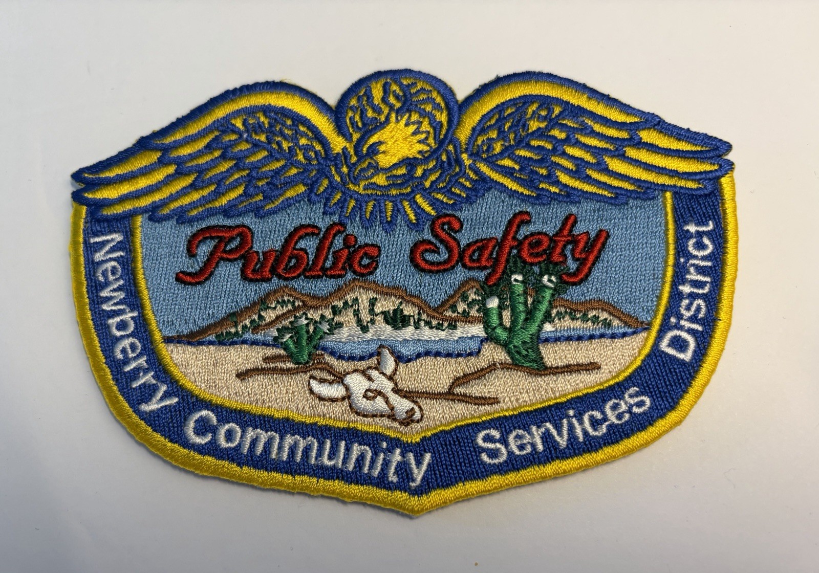 CALIFORNIA NEWBERRY SPRINGS COMMUNITY SERVICE DISTRICT PUBLIC SAFETY POLICE #D13