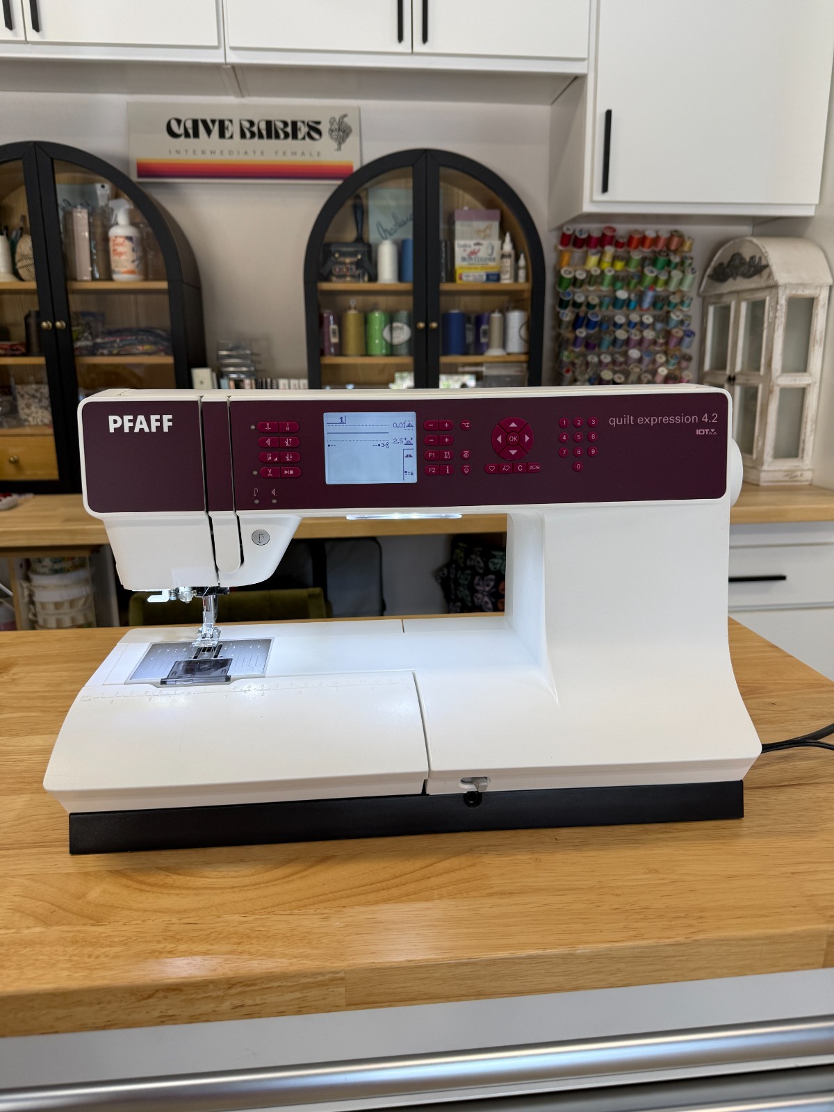Pfaff Quilt Expression 4.2