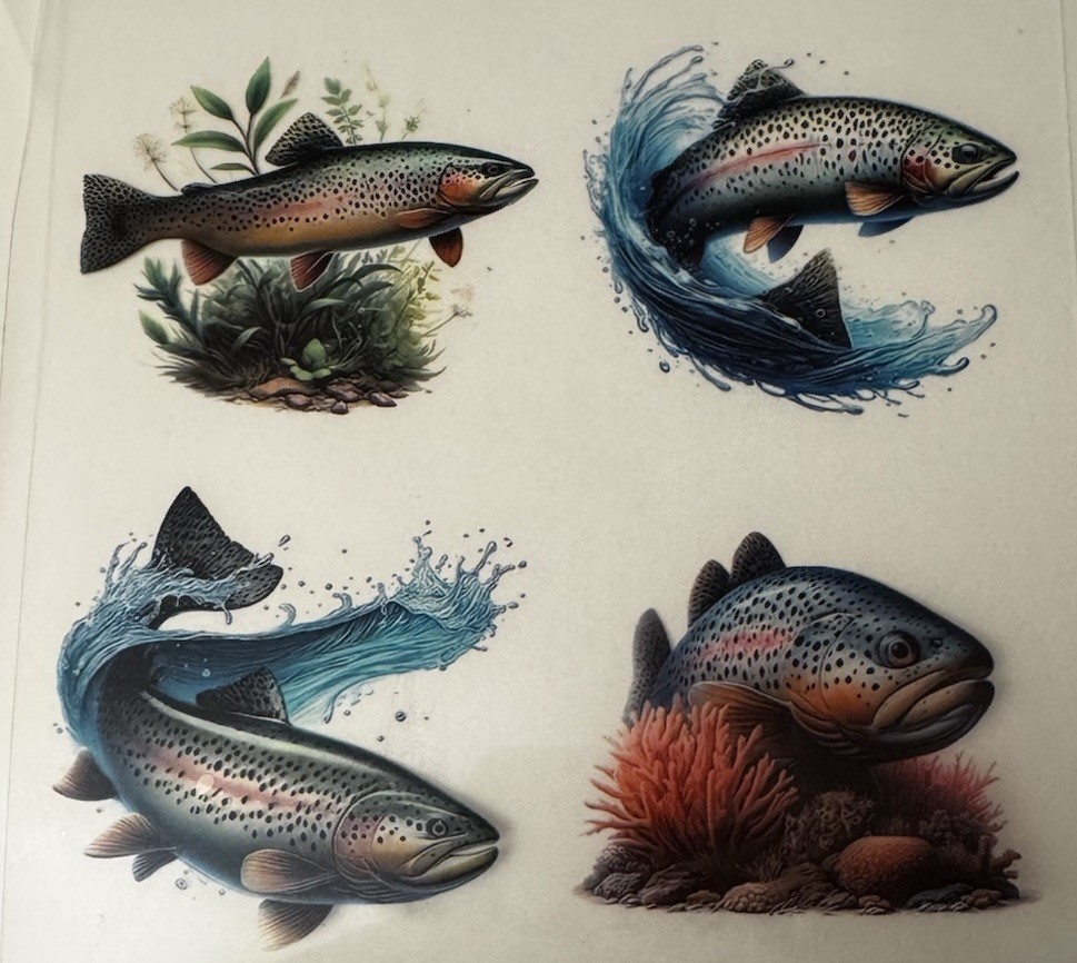 RAINBOW TROUT HIGH DEFINITION 4 X STICKER DECAL Trout