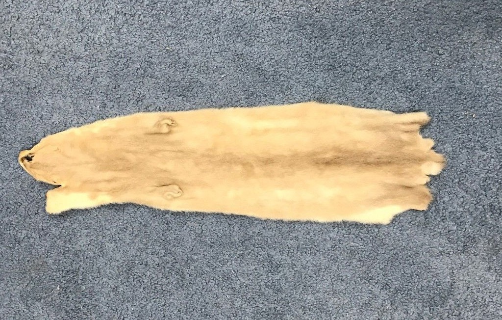 Craft Grade Wild Mink Skin (28-CR) L11
