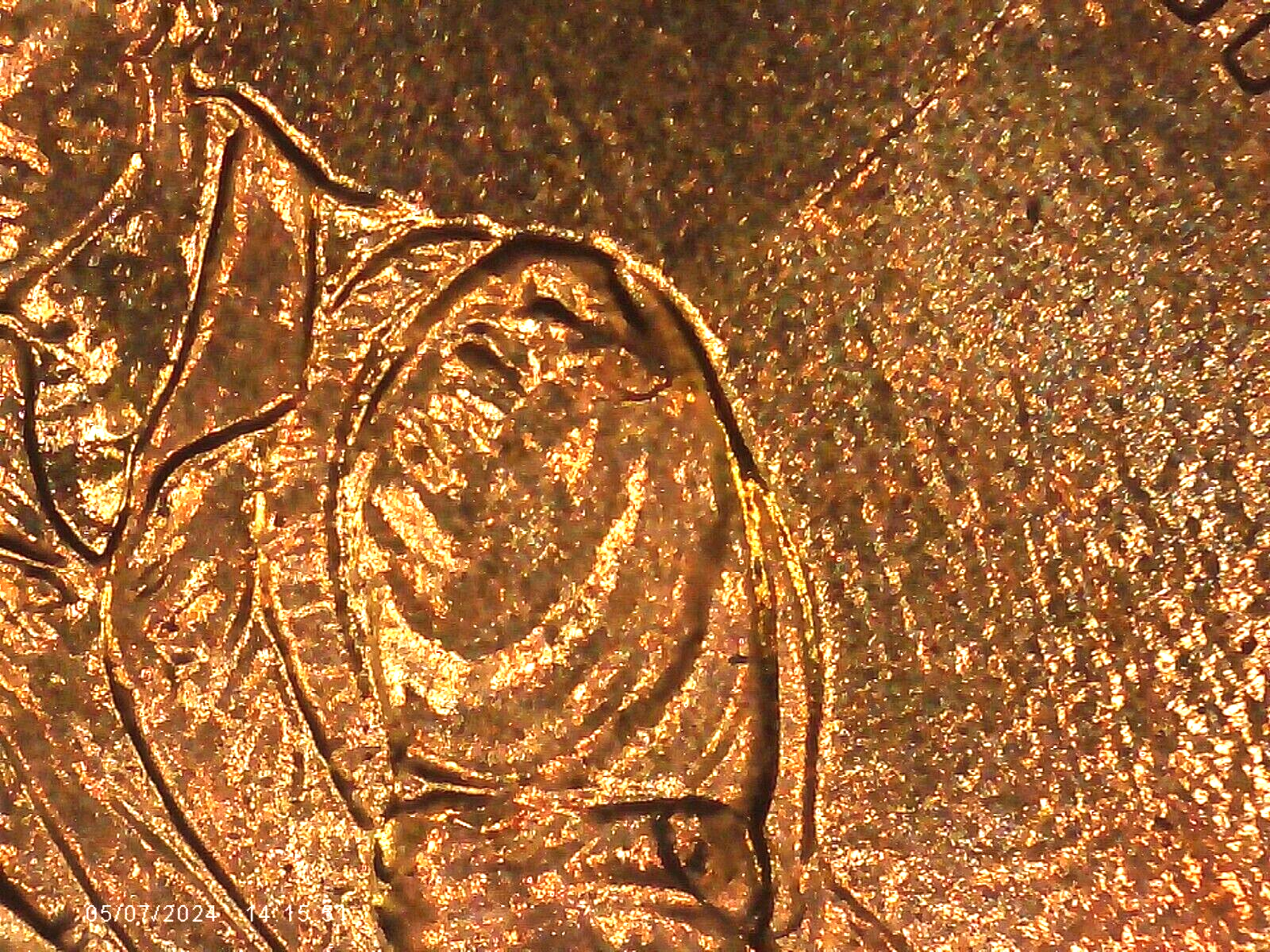 2009 P BU FY DOUBLED DIE REVERSE ERROR WDDR-037