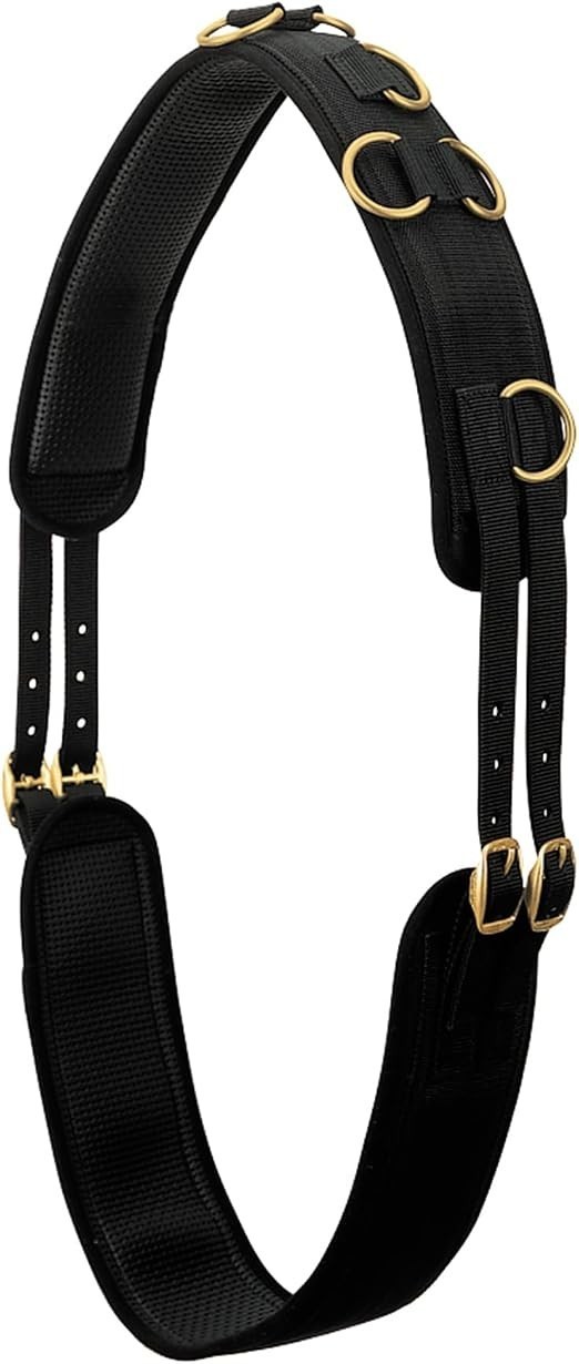 10-Ring Neoprene Lined Nylon Surcingle for Training/Lunging/Ground DrivingHorses