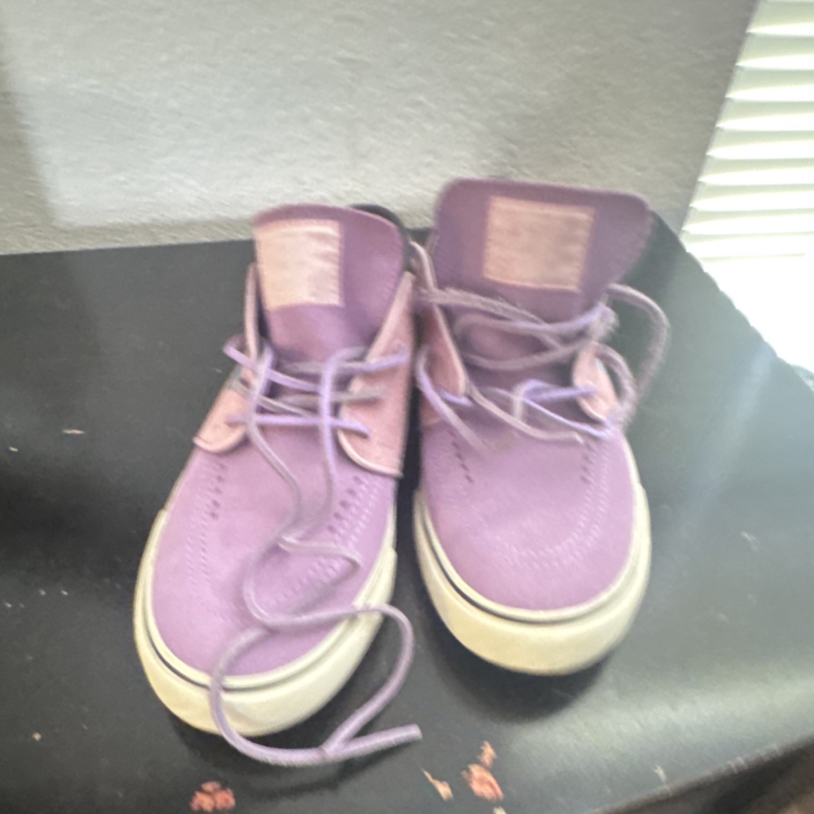 Nike SB Purple Skateboarding Shoes