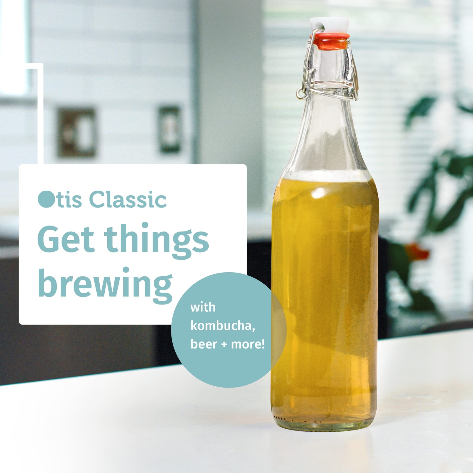 Otis Classic Swing Top Glass Bottles - Set of 6, 16oz w/Marker & Labels - Cle...