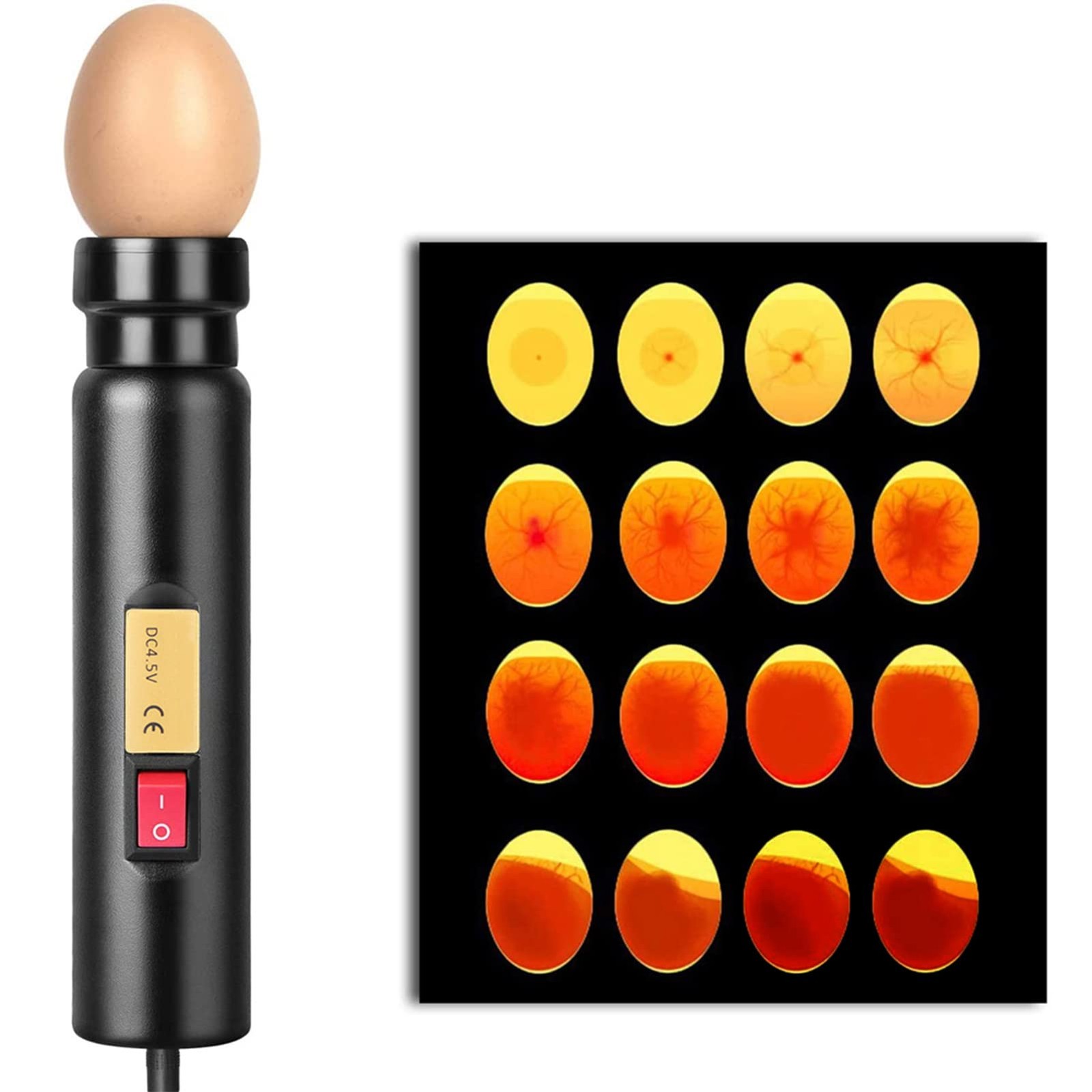 Haosie Egg Candler Led Egg Hatching Test Light High Intensity Led Chicken Egg
