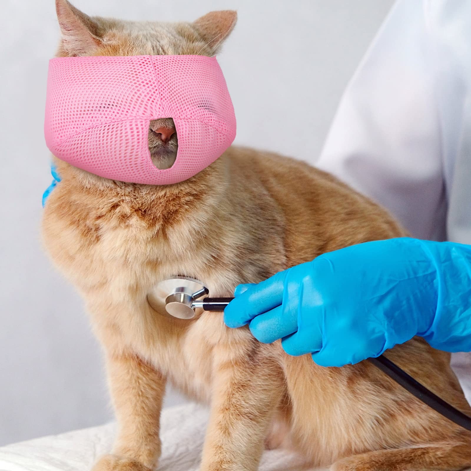 6 PCS Cat Muzzle Breathable Mesh Anti Biting Chewing Grooming Assorted Colors