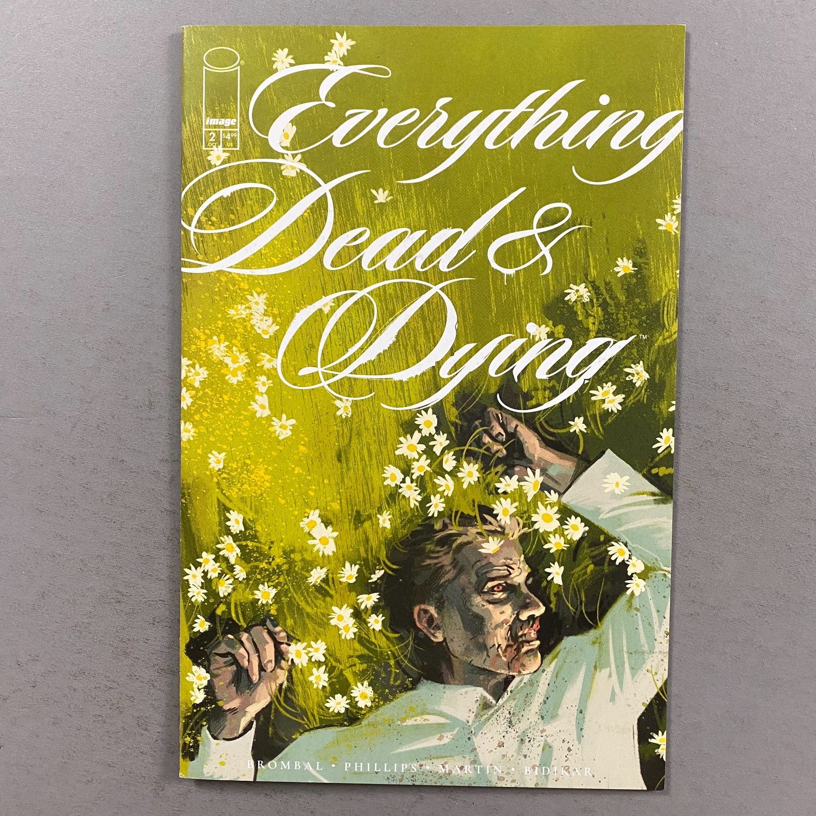 EVERYTHING DEAD & DYING 2 COVER A 1ST PRINTING (2025, MIRAGE COMICS)