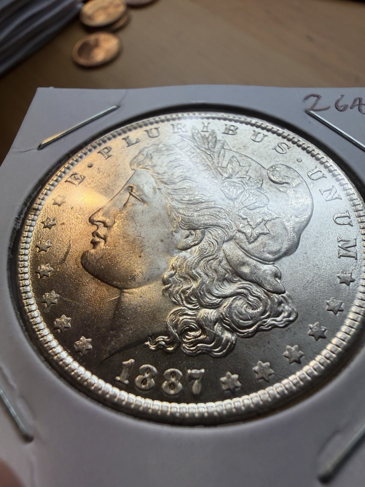 1887 Morgan Dollar - Gem BU - As Shown! (#2689)