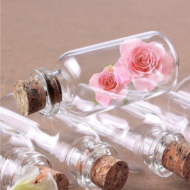 100pcs 0.5ml Clear Mini Glass Bottles Empty Tiny Small Vials Jar w/ Cork Stopper