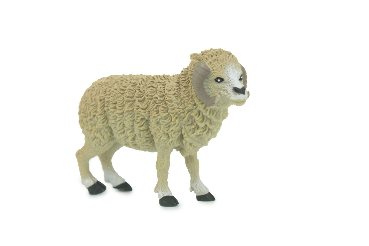 Sheep Toy, Ram, Hand Painted, Plastic Animal, Realistic Model, 4 1/2" WR18 B233