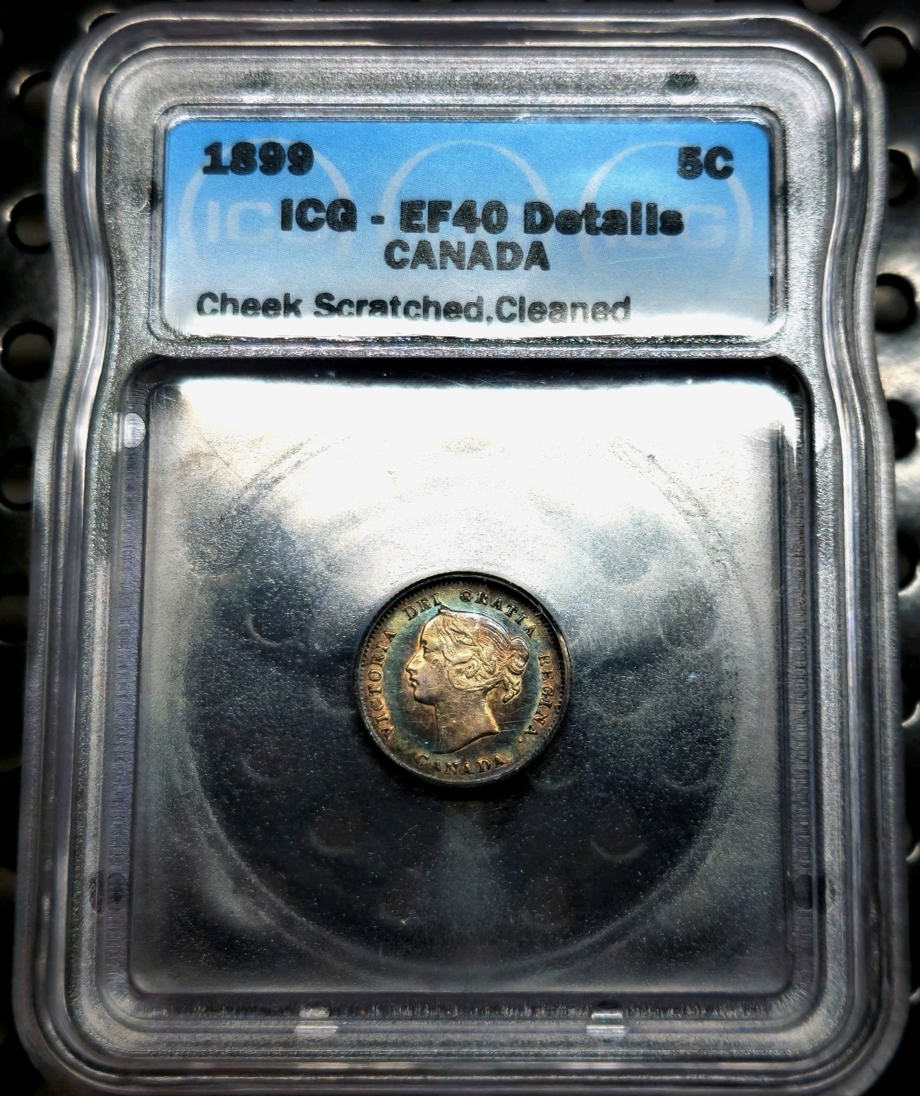 5 Cents 1899 Head of the Very Young Queen REGINA Victoria Canada XF45 ICG Silver