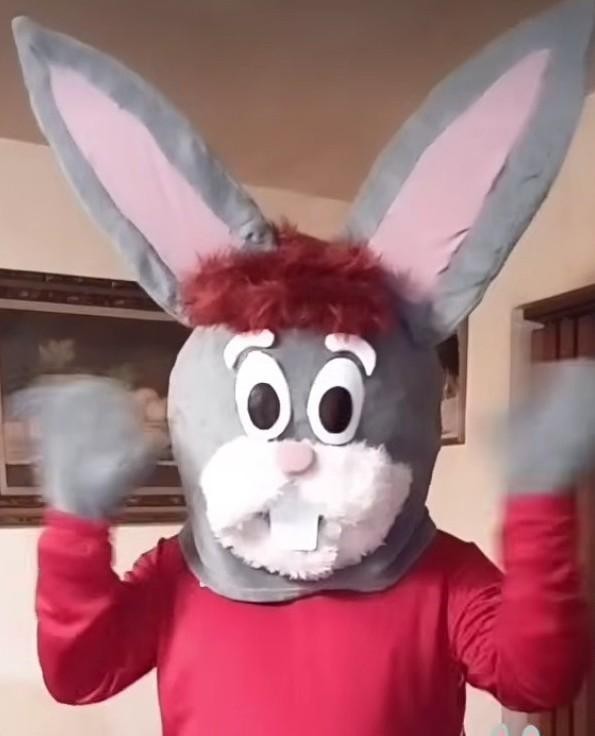 Bunny face mask