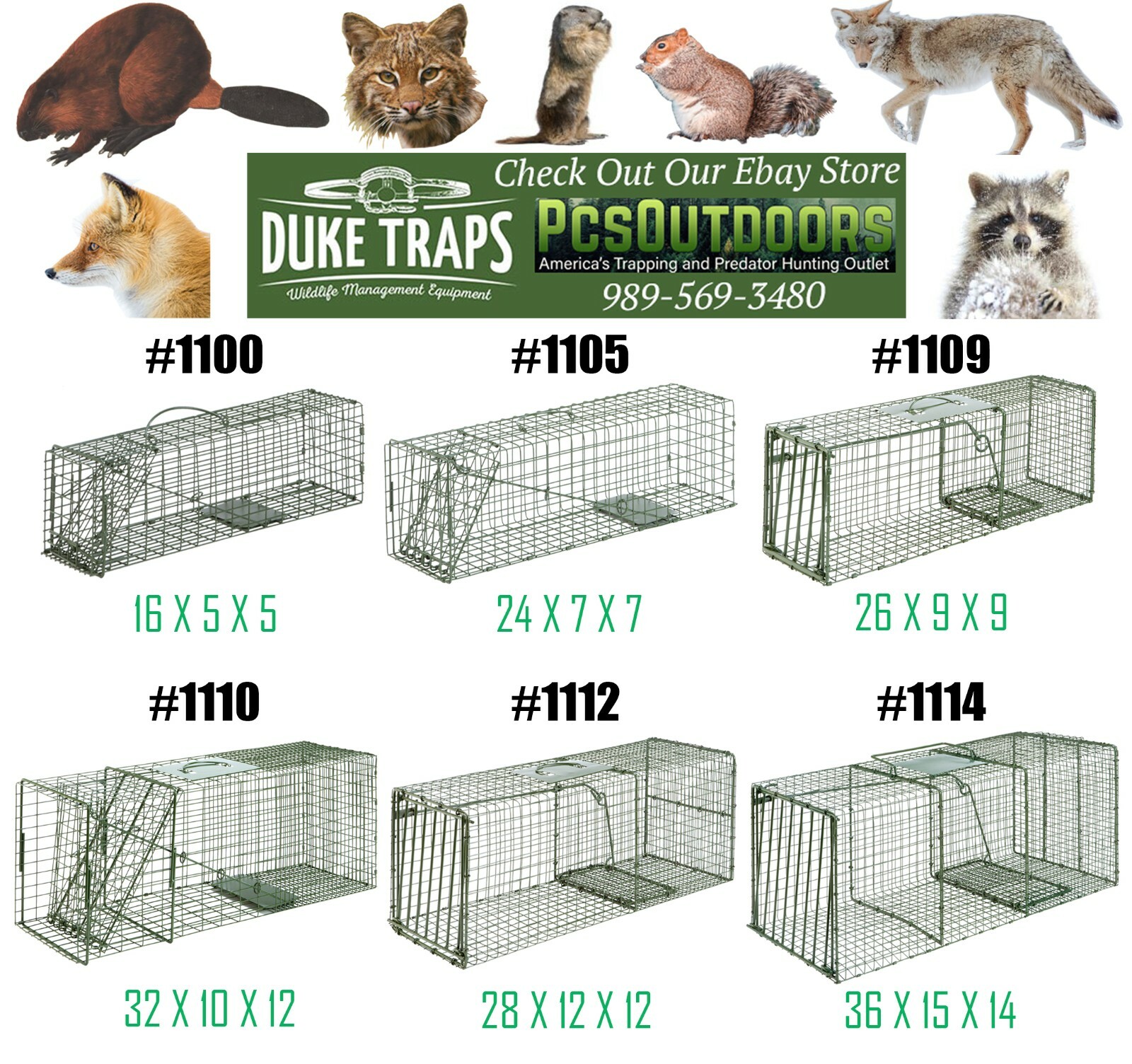 Live Humane Duke Cage Traps - Choose Size & Quantity - Trapping Animals & Catch