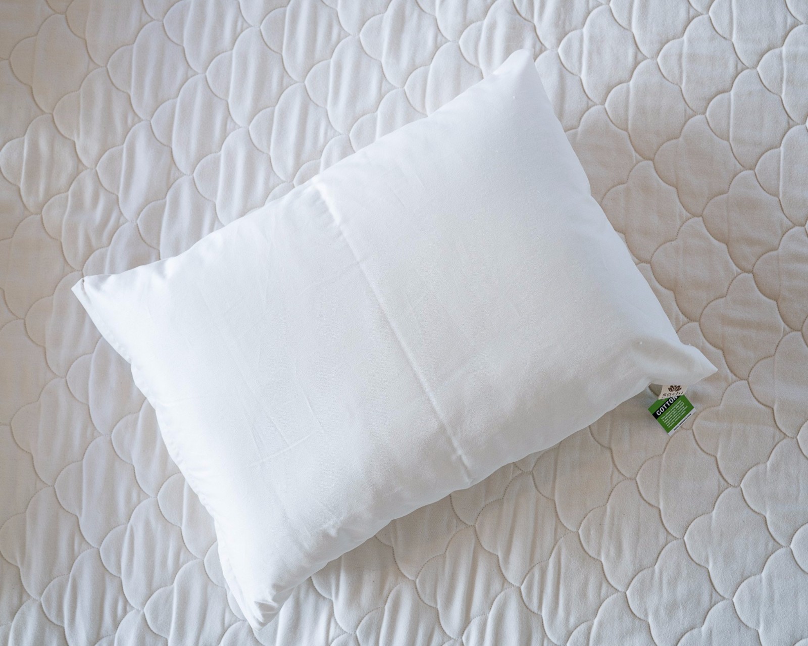 Organic Cotton Bed Pillow SACHI Organics USA Natural Standard Queen King Eco